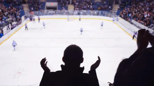 ARTICLE_GAMIFICATION POUR FANS