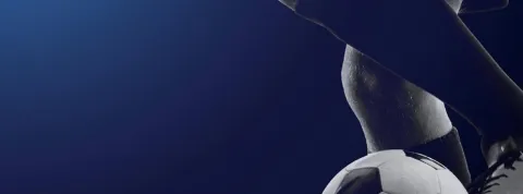 LIBÉRÉ DES LOBBYS, LE MMA PEUT MENER SA RÉVOLUTION