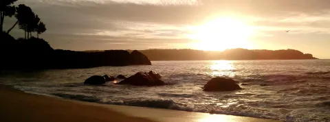 The year 2020 will be a sporting year : on your agendas !