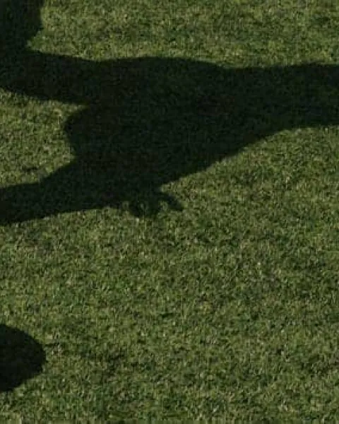 Un hommage au football par Katrina SIETIŅA