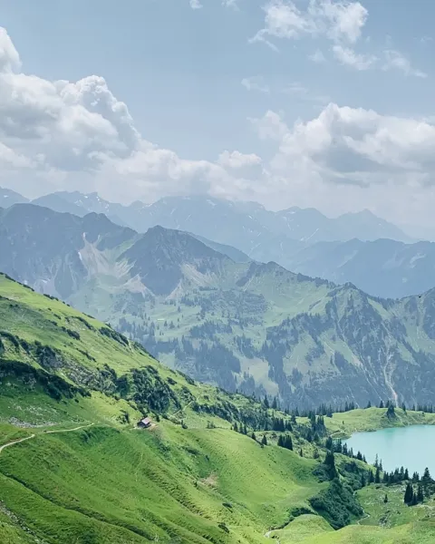 nature