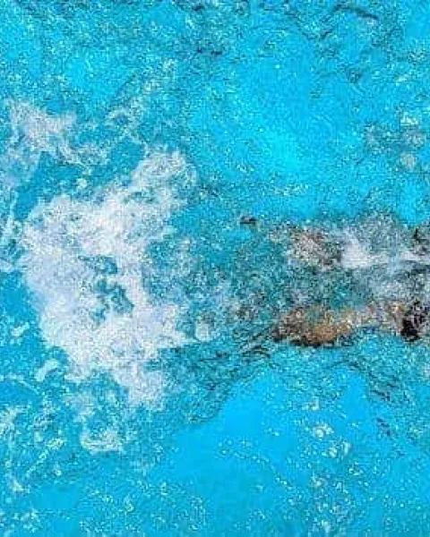 Qu’est-ce qu’une licence sportive ?
