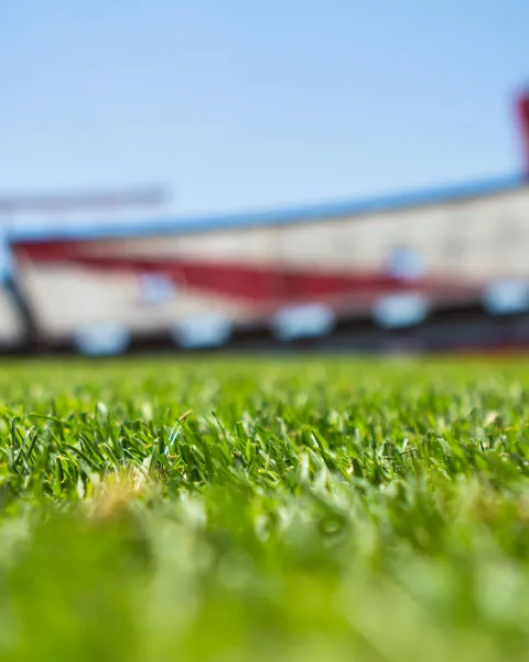 stade