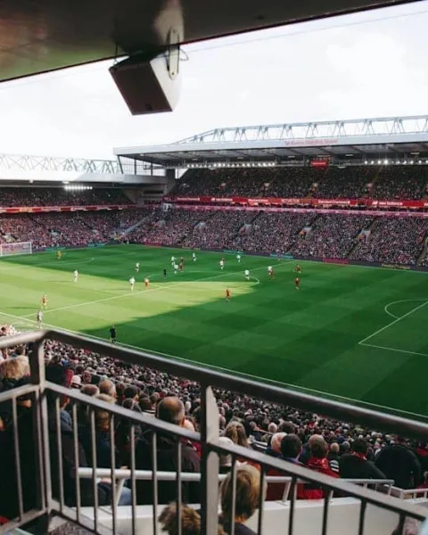 stade