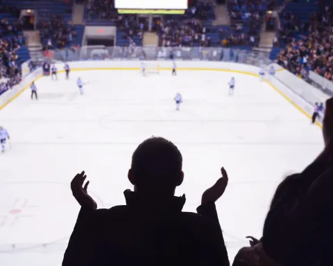 ARTICLE_GAMIFICATION POUR FANS