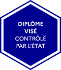 logo visa MSC Global sports 120px