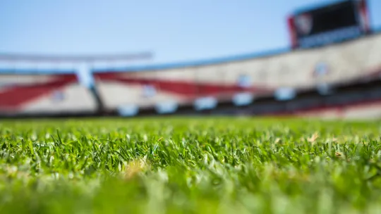 stade
