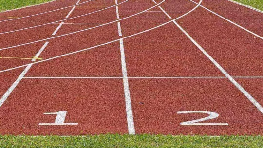 management sport